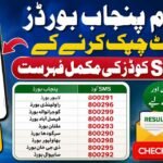 Punjab boards result
